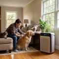 How to Improve Indoor Air Quality in a New Jersey Home With Pets